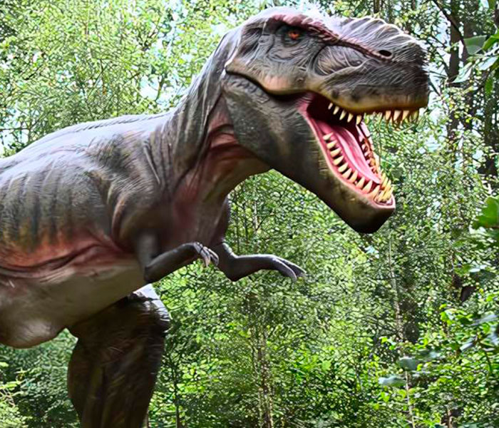 Dinoland Bobbin